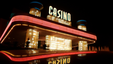 Casino119